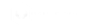 bigwinginnovations.com